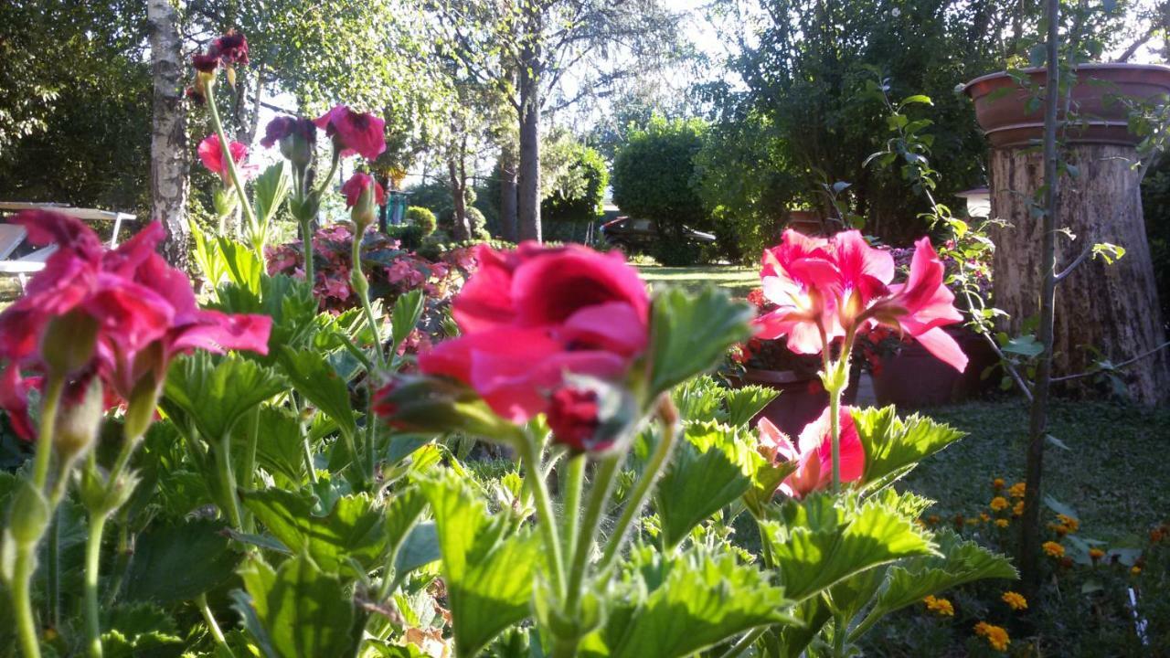 Villa Tacco Quarata Dış mekan fotoğraf